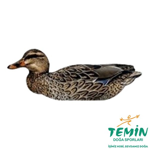 Temin Doğa Sporları - Orijinal Av, Outdoor, Bıçak, Optik ve PCP Ürünleri