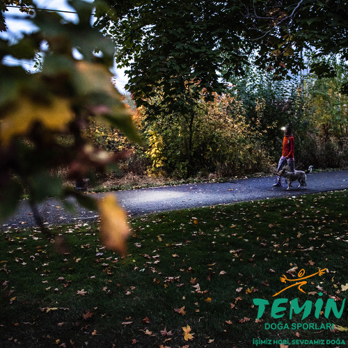 Temin Doğa Sporları - Outdoor Hobi Av Kamp Malzemeleri - Avmarket.Store - Savmarket - Ata Gibisi Yok - Burada Kral Sensin | Bursa
