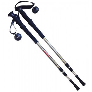 Evolite Ultralite Titanium Trekking Batonu